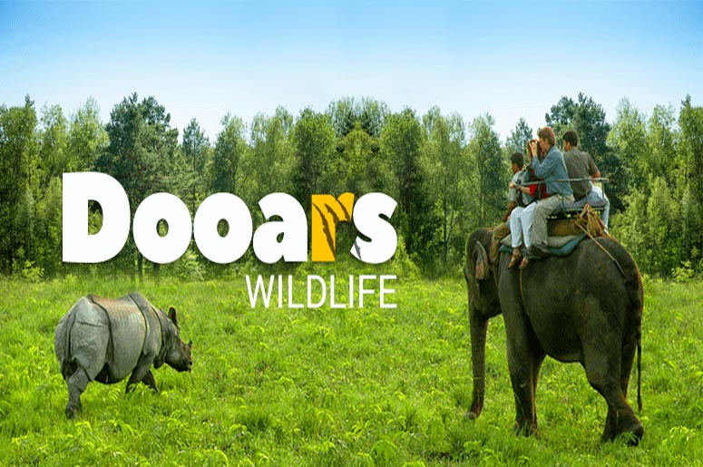 DOOARS