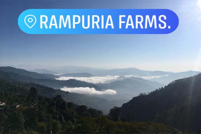 RAMPURIA HOMESTAY