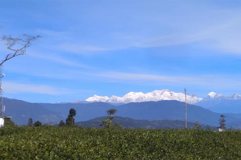 OFFBEAT DARJEELING