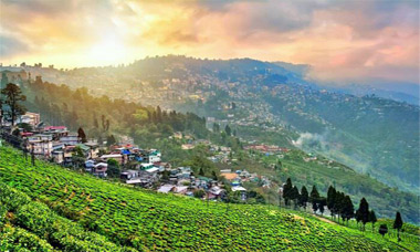 DARJEELING