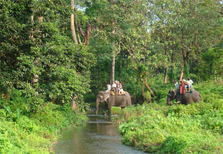 GORUMARA