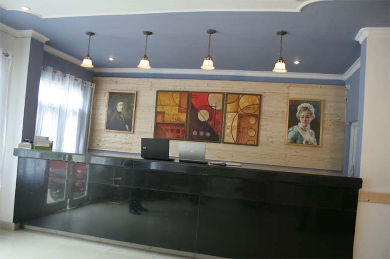 NANDINI PALACE BY ROYEL HOME TOUCH,  MANALI