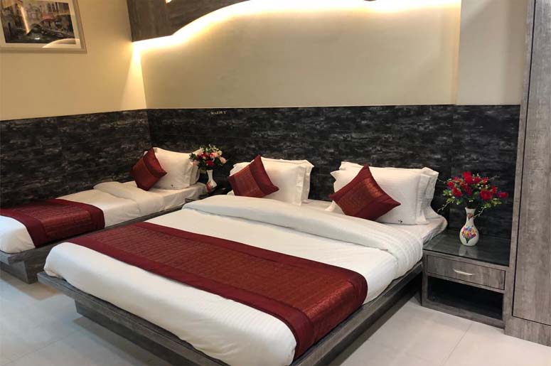 HOTEL MAHAJAN PALACE,   DELHI