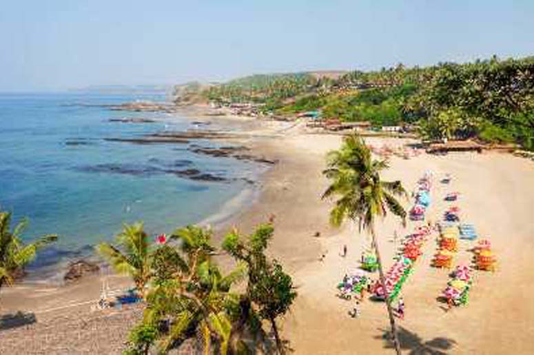 GOA