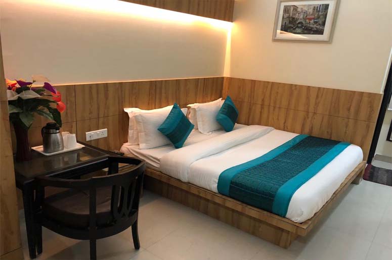 HOTEL MAHAJAN PALACE,   DELHI