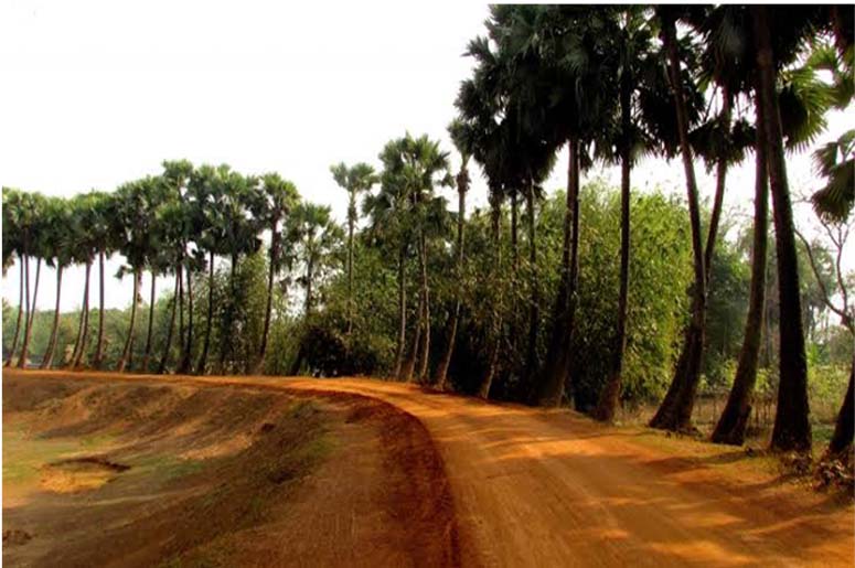BANKURA & PURULIA SPECIAL