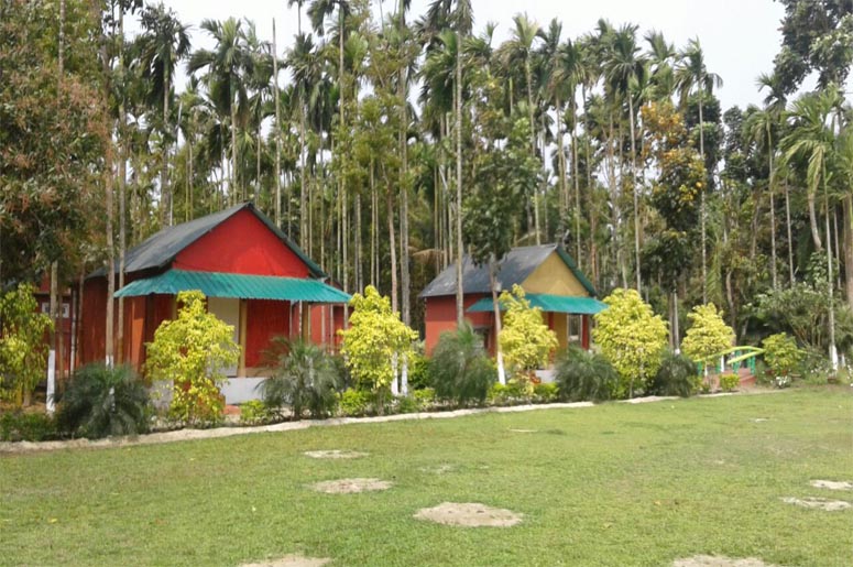 Jayanti hill jungle camp