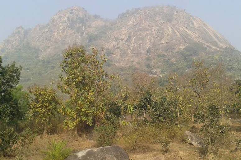 PURULIYA & BANKURA