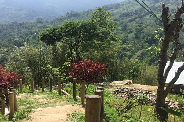 OFFBEAT DARJEELING